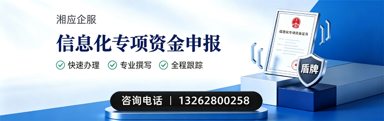 达州信息化专项资金申报服务