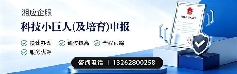 达州科技小巨人及培育企业申报服务