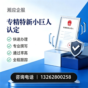 达州专精特新小巨人申报服务