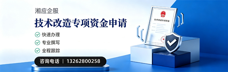 达州技术改造专项资金申报服务