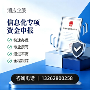 达州信息化专项资金申报服务