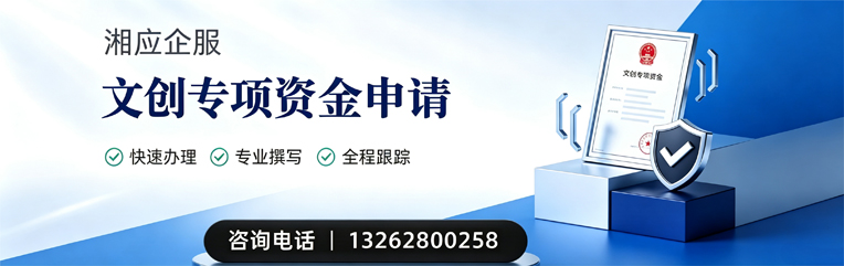 达州文创专项资金申报服务