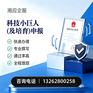 达州科技小巨人及培育企业申报服务