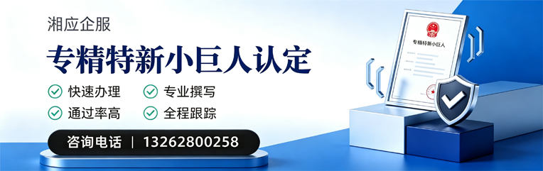 达州专精特新小巨人申报服务